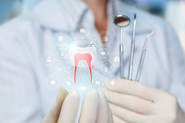 Best Emergency Dental Care  in Evergreen, CO